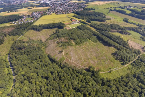 Aerial view, forest area Fürstenberg and Höinger Heide with forest damage, sports field Höingen, Ense, Sauerland, North Rhine-Westphalia, Germany, tree death, bark beetle damage, bark beetle plague, DE, Europe, football pitch, football stadium, clear-cutting, aerial photography, aerial photography, aerial photography, sports, sports facilities, sports field, sports shooting, sports facility, tennis, tennis facility, tennis courts, drought, overview, bird's-eye view, forest, forest damage, forest damage, forest dieback, birds-eyes view, overview