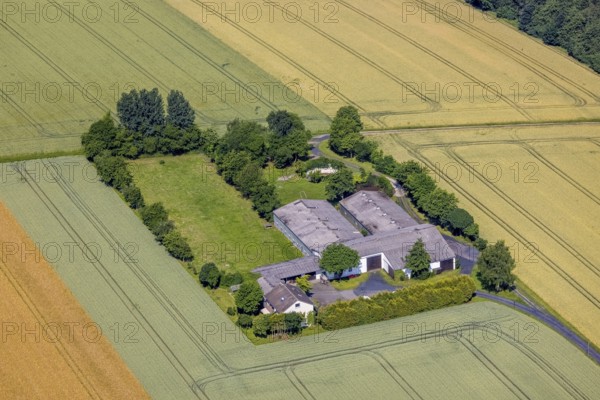 Aerial view, farm at Winnenweg, Höingen, Ense, Sauerland, North Rhine-Westphalia, Germany, DE, Europe, agriculture, agricultural fields, agricultural business, aerial view, aerial photography, aerial photography, overview, bird's-eye view, overview