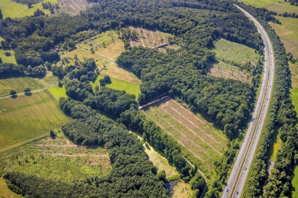 Aerial photo, Fürstenberg Füchtener Heide forest area with forest damage in Hünningen, Ense, Sauerland, North Rhine-Westphalia, Germany, motorway A445, tree death, bark beetle damage, bark beetle plague, DE, Europe, clear-cutting, aerial photo, aerial photography, aerial photography, overview, bird's-eye view, forest, forest area, forest damage, forest dieback, birds-eyes view, overview