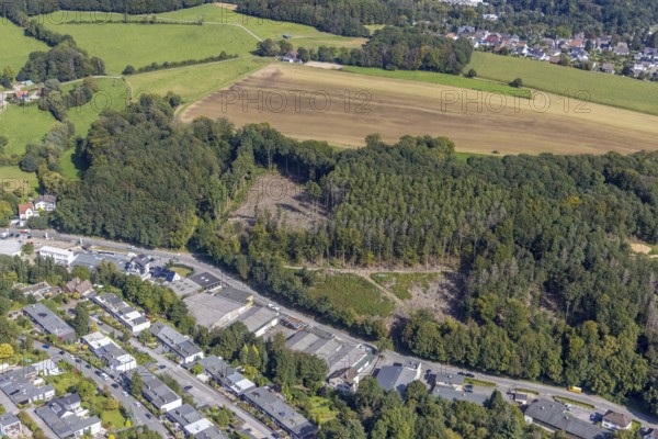 Aerial photograph, forest damage at the Hembecker Talstraße forest area in the Büttenberg district of Ennepetal, Ruhr area, North Rhine-Westphalia, Germany, tree dieback, bark beetle damage, bark beetle plague, DE, Ennepetal, Europe, spruce dieback, clear-cutting, aerial photograph, aerial photography, aerial photography, overview, bird's-eye view, forest, forest damage, forest dieback, birds-eyes view, overview