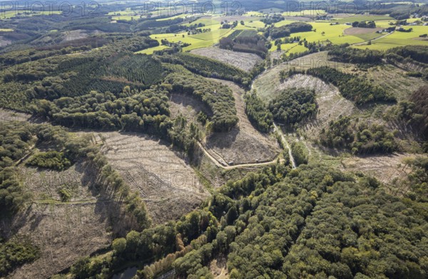 Aerial photo, forest damage in the Windgarten district of Ennepetal, Ruhr area, North Rhine-Westphalia, Germany, tree death, bark beetle damage, bark beetle plague, DE, Ennepetal, Europe, spruce death, clear-cutting, aerial photo, aerial photography, aerial photography, overview, bird's-eye view, forest, forest damage, forest dieback, birds-eyes view, overview