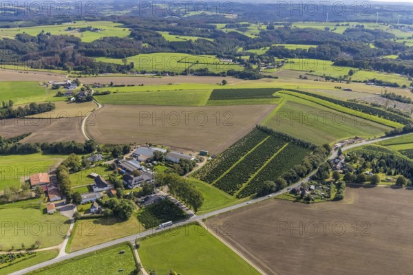 Aerial view, meadows and fields with farm Bransel in the district Königsfeld in Ennepetal, Ruhr area, North Rhine-Westphalia, Germany, DE, Ennepetal, Europe, hilly landscape, farm, aerial view, aerial photography, aerial photography, overview, bird's-eye view, meadows and fields, birds-eyes view, overview