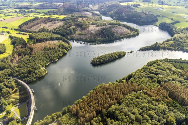 Aerial view, forest damage at the Ennepetalsperre dam and dam wall in the Altenbreckerfeld district of Breckerfeld, Ruhr area, North Rhine-Westphalia, Germany, tree dieback, bark beetle damage, bark beetle plague, Breckerfeld, DE, Europe, clear-cutting, aerial view, aerial photography, aerial photography, dam, overview, bird's eye view, forest, forest damage, forest dieback, birds-eyes view, overview
