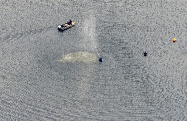 Aerial view, Ennepetalsperre and boat with water fountain in the district Altenbreckerfeld in Breckerfeld, Ruhr area, North Rhine-Westphalia, Germany, Breckerfeld, DE, Europe, aerial view, aerial photography, aerial photography, dam, overview, bird's eye view, birds-eyes view, overview
