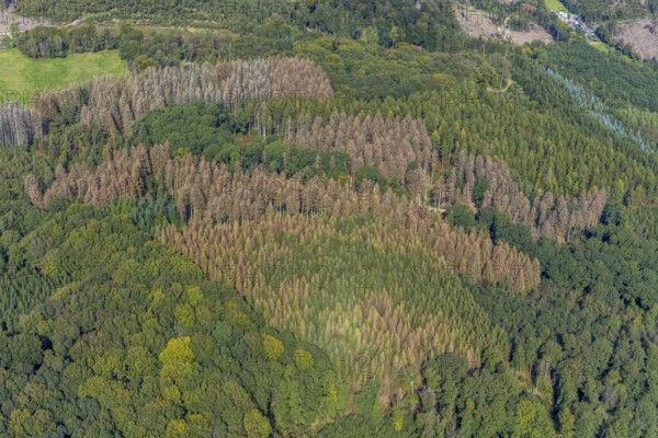Aerial photograph, forest damage and forest dieback in the district of Rüggeberg in Ennepetal, Ruhr area, North Rhine-Westphalia, Germany, tree dieback, bark beetle damage, bark beetle plague, DE, Ennepetal, Europe, spruce dieback, clear-cutting, aerial photograph, aerial photography, aerial photography, overview, bird's-eye view, forest, forest damage, forest dieback, birds-eyes view, overview