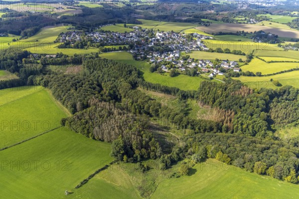 Aerial view, forest damage in the Rüggeberg district in Ennepetal, Ruhr area, North Rhine-Westphalia, Germany, DE, Ennepetal, Europe, aerial view, aerial photography, aerial photography, overview, bird's-eye view, overview