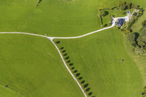 Aerial view, tree avenue Mittelhesterberg in the district Rüggeberg in Ennepetal, Ruhr area, North Rhine-Westphalia, Germany, tree avenue, tree row, tree row at the roadside, tree series, DE, Ennepetal, Europe, shapes and colours, aerial view, aerial photography, aerial photography, overview, bird's-eye view, overview