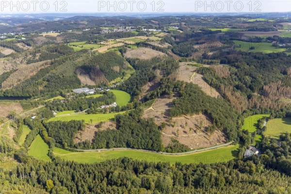 Aerial view, forest damage in the Rüggeberg district in Ennepetal, Ruhr area, North Rhine-Westphalia, Germany, tree death, bark beetle damage, bark beetle plague, DE, Ennepetal, Europe, spruce death, clear-cutting, aerial photograph, aerial photography, aerial photography, overview, bird's-eye view, forest, forest area, forest damage, forest dieback, birds-eyes view, overview