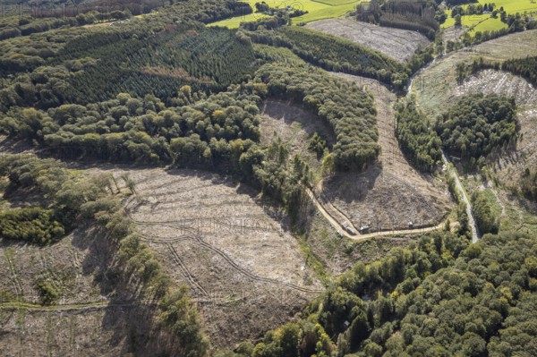 Aerial photo, forest damage in the Windgarten district of Ennepetal, Ruhr area, North Rhine-Westphalia, Germany, tree death, bark beetle damage, bark beetle plague, DE, Ennepetal, Europe, spruce death, clear-cutting, aerial photo, aerial photography, aerial photography, overview, bird's-eye view, forest, forest damage, forest dieback, birds-eyes view, overview