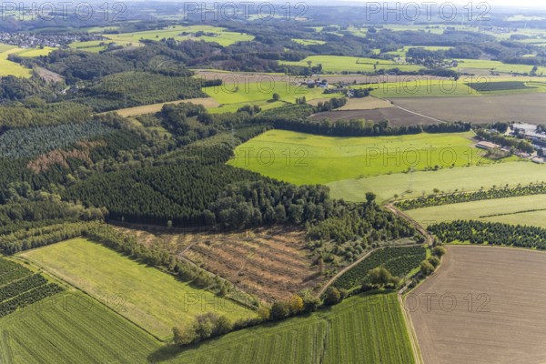Aerial view, forest damage in the district Königsfeld in Ennepetal, Ruhr area, North Rhine-Westphalia, Germany, DE, Ennepetal, Europe, aerial view, aerial photography, aerial photography, overview, bird's eye view, birds-eyes view, overview