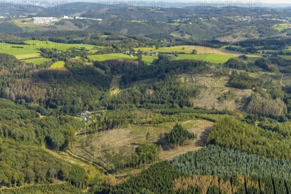 Aerial photograph, forest damage and forest dieback in the Königsfeld district of Ennepetal, Ruhr area, North Rhine-Westphalia, Germany, tree dieback, bark beetle damage, bark beetle plague, DE, Ennepetal, Europe, spruce dieback, clear-cutting, aerial photograph, aerial photography, aerial photography, overview, bird's-eye view, forest, forest damage, forest dieback, birds-eyes view, overview