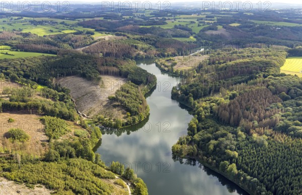 Aerial photo, forest damage at the Ennepetalsperre in the Altenbreckerfeld district of Breckerfeld, Ruhr area, North Rhine-Westphalia, Germany, tree dieback, bark beetle damage, bark beetle plague, Breckerfeld, DE, Europe, clear-cutting, aerial photo, aerial photography, aerial photography, dam, overview, bird's eye view, forest, forest damage, forest dieback, birds-eyes view, overview