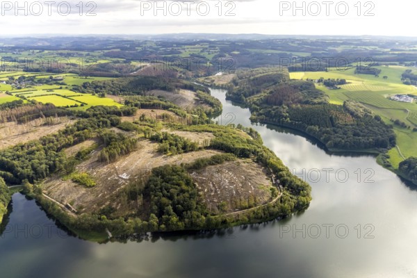 Aerial photo, forest damage at the Ennepetalsperre in the Altenbreckerfeld district of Breckerfeld, Ruhr area, North Rhine-Westphalia, Germany, tree dieback, bark beetle damage, bark beetle plague, Breckerfeld, DE, Europe, clear-cutting, aerial photo, aerial photography, aerial photography, dam, overview, bird's eye view, forest, forest damage, forest dieback, birds-eyes view, overview