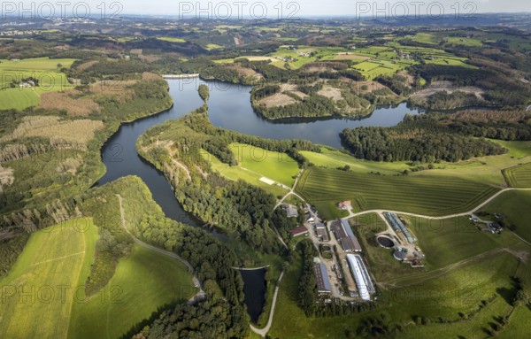 Aerial view, forest damage at the Ennepetalsperre dam with dam wall in the Altenbreckerfeld district in Breckerfeld, Ruhr area, North Rhine-Westphalia, Germany, tree dieback, bark beetle damage, bark beetle plague, Breckerfeld, DE, Europe, clear-cutting, aerial view, aerial photography, aerial photography, dam, overview, bird's eye view, forest, forest damage, forest dieback, birds-eyes view, overview