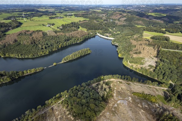 Aerial view, forest damage at the Ennepetalsperre dam with dam wall in the Altenbreckerfeld district in Breckerfeld, Ruhr area, North Rhine-Westphalia, Germany, tree dieback, bark beetle damage, bark beetle plague, Breckerfeld, DE, Europe, clear-cutting, aerial view, aerial photography, aerial photography, dam, overview, bird's eye view, forest, forest damage, forest dieback, birds-eyes view, overview