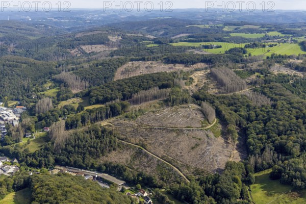 Aerial view, forest damage at the Talsperrenweg in the district Voerde in Ennepetal, Ruhr area, North Rhine-Westphalia, Germany, tree dieback, bark beetle damage, bark beetle plague, DE, Ennepetal, Europe, spruce dieback, clear-cutting, aerial view, aerial photography, aerial photography, overview, bird's eye view, forest, forest damage, forest dieback, birds-eyes view, overview