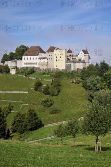 Castle of the Habsburgs, Kyburgers on an almost circular Molasse hill, Lenzburg, Canton Aargau, Switzerland