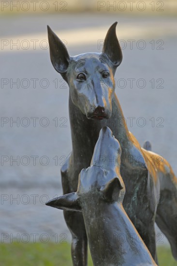 Sculpture Dobermann by Kerstin Stöckel 2019, monument to breeder of dog breed and namesake Karl Friedrich Louis Dobermann, two playing dog figures, dog head, symbol, smell, dog nose, bronze sculpture, modern art, detail, dog breeding, Apolda, Thuringia, Germany