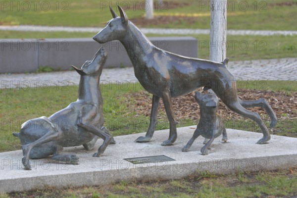 Sculpture Dobermann by Kerstin Stöckel 2019, memorial to breeder of dog breed and namesake Karl Friedrich Louis Dobermann, three playing dog figures, bronze sculpture, modern art, dog breeding, Apolda, Thuringia, Germany