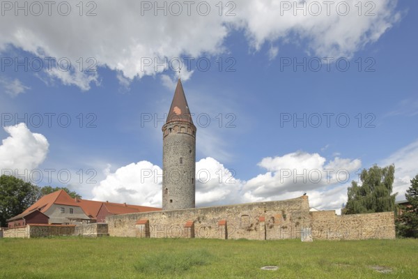 Castle with tower and wall, Zörbig Castle, Saxony-Anhalt, Germany