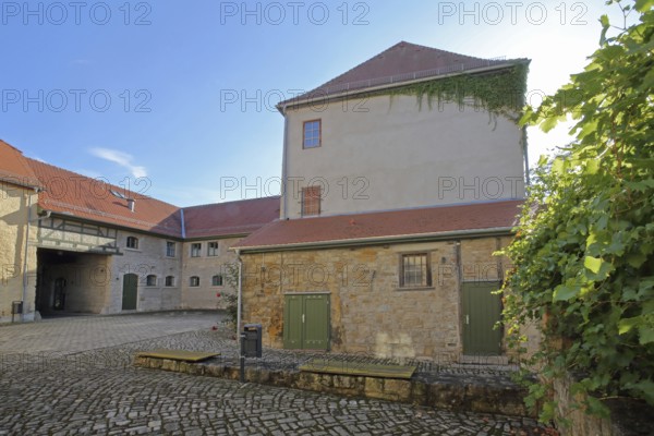 Inner courtyard of the castle built in the 16th century, grapevines, castle, Apolda, Thuringia, Germany