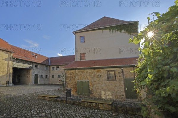 Inner courtyard of the castle built in the 16th century with vines and backlight, Castle, Apolda, Thuringia, Germany