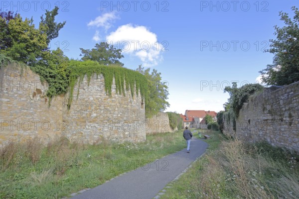 Historic town fortification, town wall, footpath, shooting ditch, pedestrian, Querfurt, Saxony-Anhalt, Germany