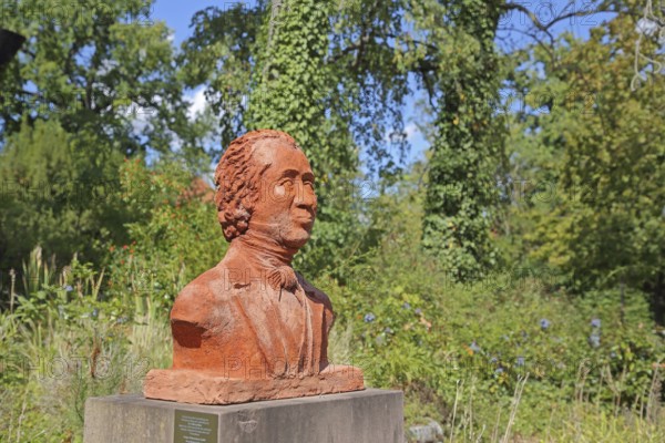 Monument to physician and doctor Johann Wilhelm Tolberg, Bust, Solepark, spa garden, Bad Salzelmen, Schönebeck, Saxony-Anhalt, Germany