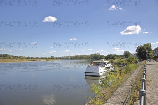 Ship at the quay of the Elbe, Elbe riverbank, landscape, Elbauenbrücke, Salzblumenplatz, Schönebeck, Saxony-Anhalt, Germany