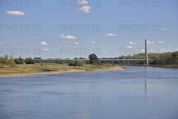 Elbauenbrücke federal road B246a over the Elbe, arch bridge, landscape, Schönebeck, Saxony-Anhalt, Germany