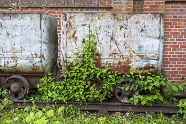 Plants in front of the wagon, coal wagon, railway wagon, LWL Museum, former mine, Hanover colliery, industrial heritage, Bochum, Ruhr area, North Rhine-Westphalia, Germany