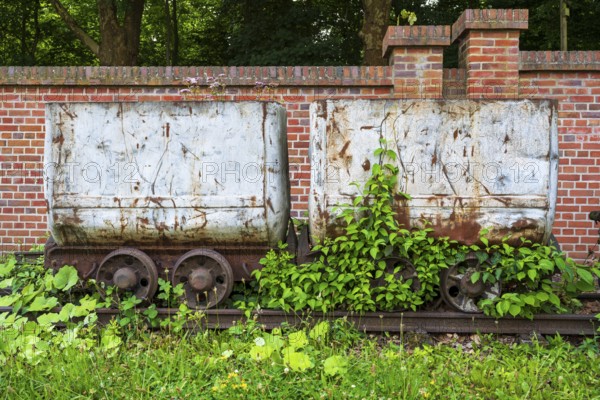 Plants in front of the wagon, coal wagon, railway wagon, LWL Museum, former mine, Hanover colliery, industrial heritage, Bochum, Ruhr area, North Rhine-Westphalia, Germany