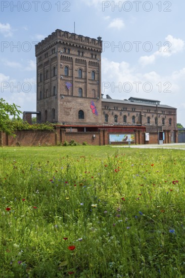 Malakow tower and machine house, blooming meadow with summer flowers, LWL Museum, former mine, Hanover colliery, industrial heritage, Bochum, Ruhr area, North Rhine-Westphalia, Germany