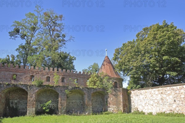 Historic town wall with defence defence tower, tower, town fortification, Dornburger Tor, Breitestraßetor, Zerbst, Fläming, Saxony-Anhalt, Germany