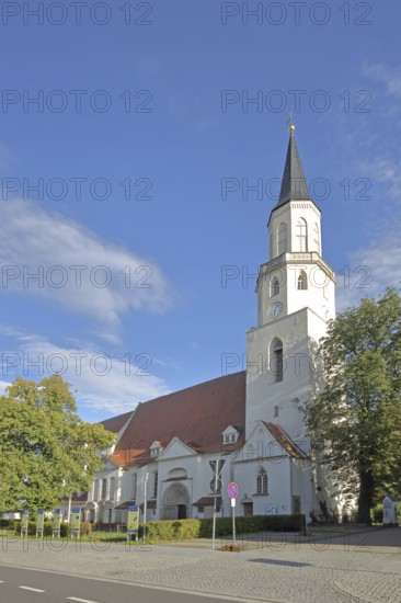Romanesque St Nicolai Church, Coswig, Fläming, Saxony-Anhalt, Germany