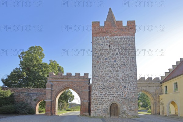 Historic Heath Gate with town wall, town fortification, town gate, town tower, Zerbst, Fläming, Saxony-Anhalt, Germany