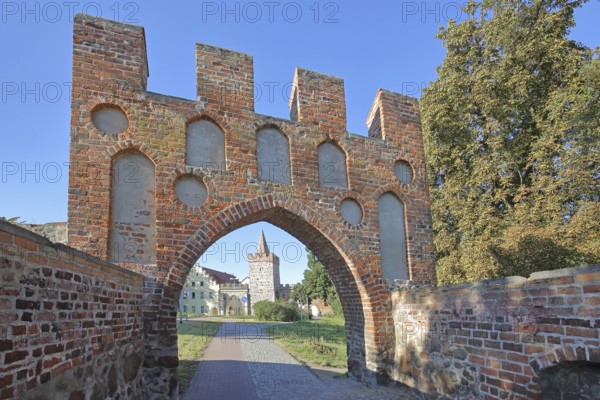 Historic Heath Gate with town wall and building with stepped gable, town fortification, town gate, town tower, view, archway, battlements, Zerbst, Fläming, Saxony-Anhalt, Germany
