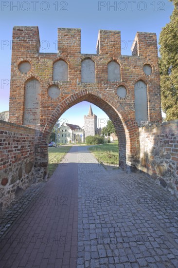 Historic Heath Gate with town wall and building with stepped gable, town fortification, town gate, town tower, brick building, battlements, view, archway, Zerbst, Fläming, Saxony-Anhalt, Germany
