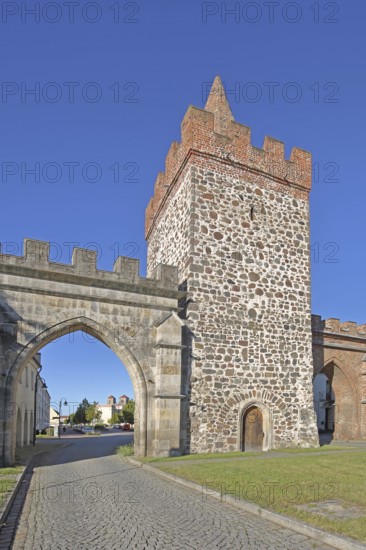 Historic Heath Gate, town gate and town tower, Zerbst, Fläming, Saxony-Anhalt, Germany