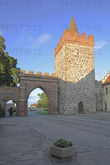 Historic Heath Gate, town gate and town tower, Zerbst, Fläming, Saxony-Anhalt, Germany