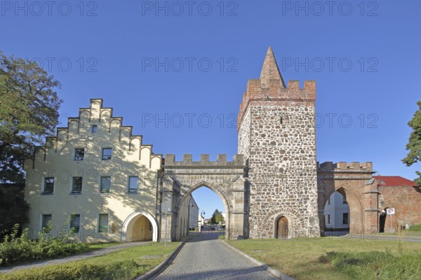 Historic Heath Gate with town wall and building with stepped gable, town fortification, town gate, town tower, Zerbst, Fläming, Saxony-Anhalt, Germany