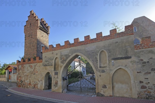 Francisceum built 13th century, former Franciscan monastery, tower with battlements, portal, museum of local history, Zerbst, Fläming, Saxony-Anhalt, Germany