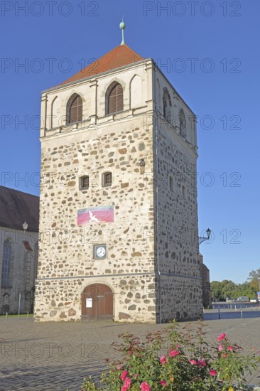 Historic Dicker Turm, town tower, Zerbst, Fläming, Saxony-Anhalt, Germany