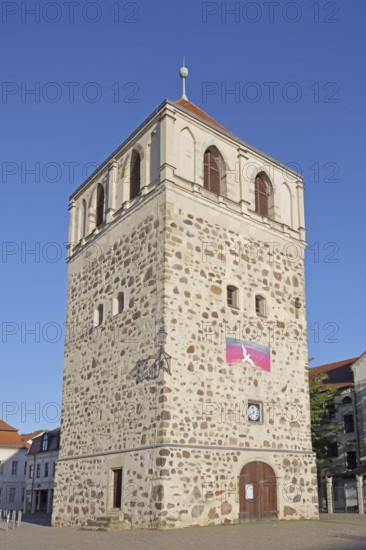 Historic Dicker Turm, town tower, Zerbst, Fläming, Saxony-Anhalt, Germany