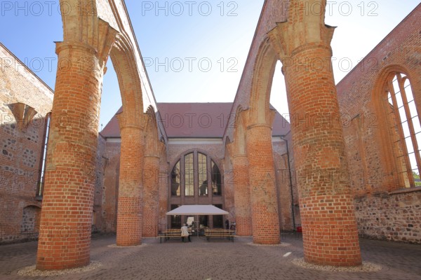 Interior view of St Bartholomew's Church ruins, columns, open, brick church, Zerbst, Fläming, Saxony-Anhalt, Germany