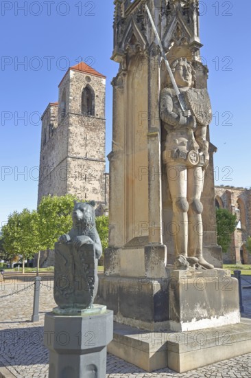 Roland and church ruins of St Nikolai, bear figure with shield and coat of arms, statue with sword, market square, Zerbst, Fläming, Saxony-Anhalt, Germany