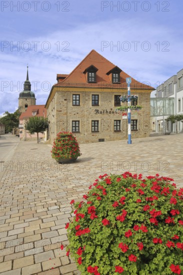 Market square with town hall and church tower of the town church, flower decoration, maypole, market, Bad Lauchstädt, Saxony-Anhalt, Germany