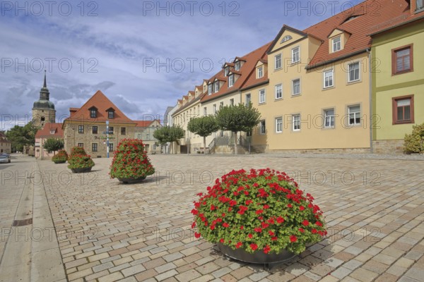 Market square with town hall and church tower of the town church, flower decoration, maypole, market, Bad Lauchstädt, Saxony-Anhalt, Germany