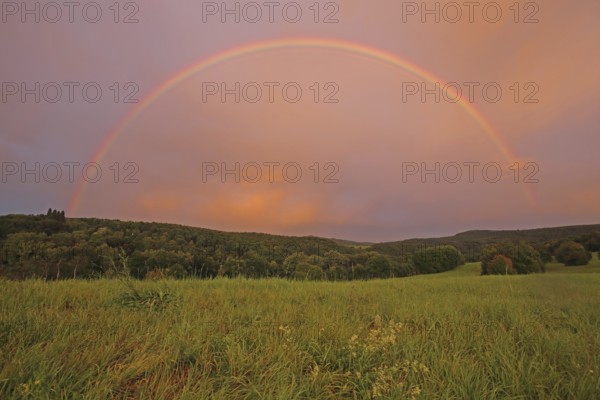 Half-round rainbow with forest and fields, landscape, light mood, nature photography, Niedernhausen, Bremthal, Eppstein, Taunus, Hesse, Germany
