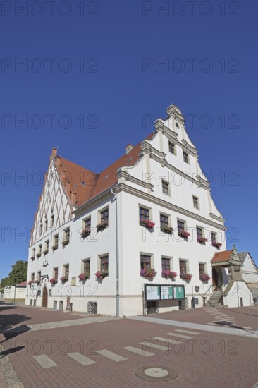Town hall built in 1490, market square, Aken, Saxony-Anhalt, Germany